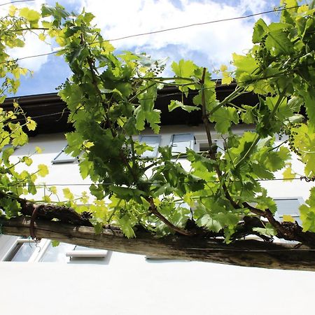 Вілла Weingut Pardellerhof Марленго Екстер'єр фото