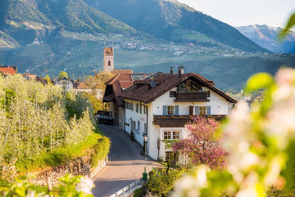 Вілла Weingut Pardellerhof Марленго Екстер'єр фото